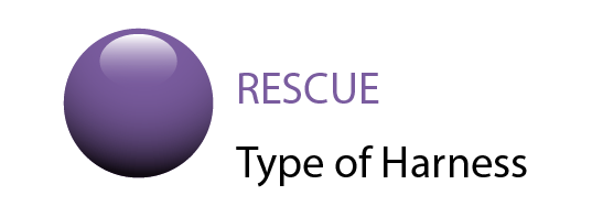 Rescue